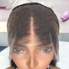 Bleached Knots 13x4 HD Full Frontal Wig Straight with Preplucked Hairline